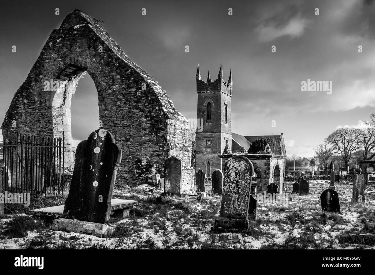 How Old Is Loid Forger in Jojo Bizarre Adventure?